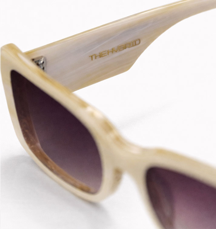 The hybrid Coco - Image 3